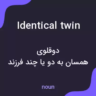 معنی identical twin به فارسی معنی identical twin به فارسی
