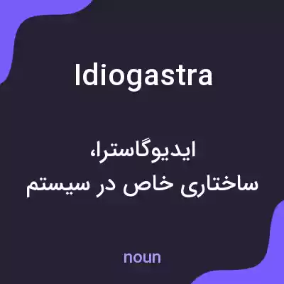 معنی idiogastra به فارسی معنی idiogastra به فارسی