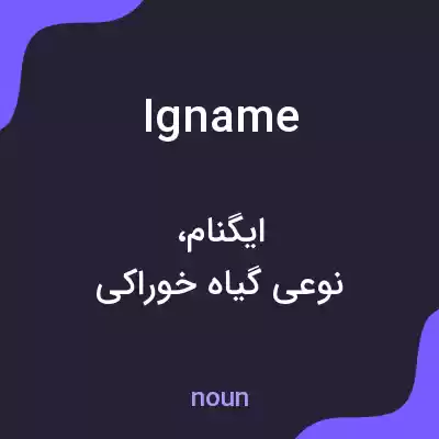 معنی igname به فارسی معنی igname به فارسی