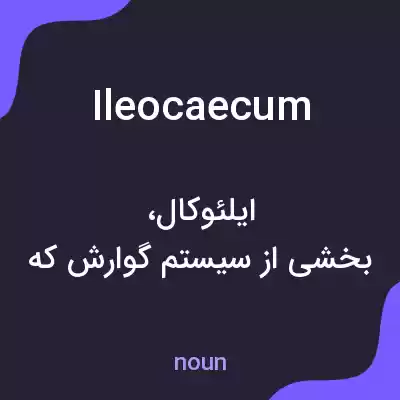 معنی ileocaecum به فارسی معنی ileocaecum به فارسی