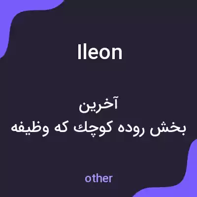 معنی ileon به فارسی معنی ileon به فارسی