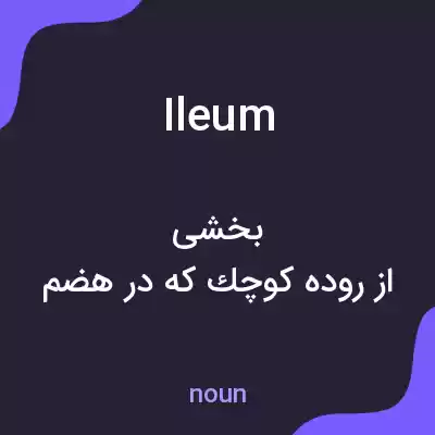 معنی ileum به فارسی معنی ileum به فارسی