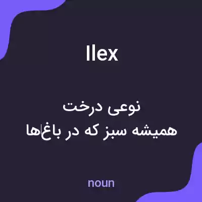 معنی ilex به فارسی معنی ilex به فارسی