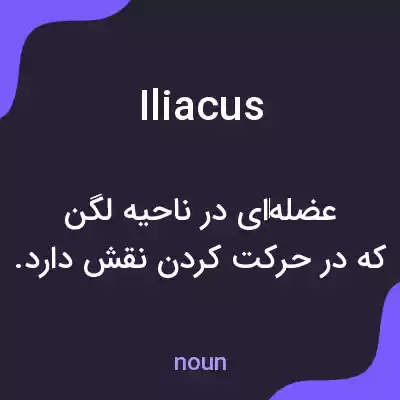 معنی iliacus به فارسی معنی iliacus به فارسی
