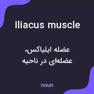 معنی iliacus muscle به فارسی معنی iliacus muscle به فارسی