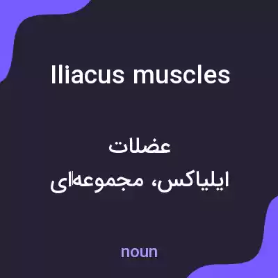 معنی iliacus muscles به فارسی معنی iliacus muscles به فارسی