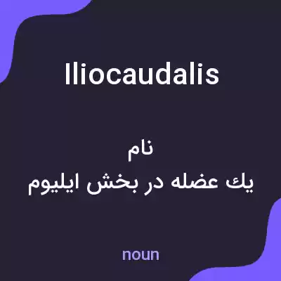معنی iliocaudalis به فارسی معنی iliocaudalis به فارسی