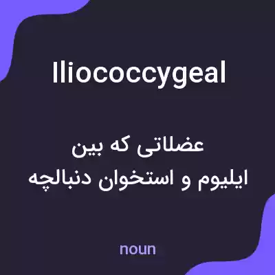معنی iliococcygeal به فارسی معنی iliococcygeal به فارسی