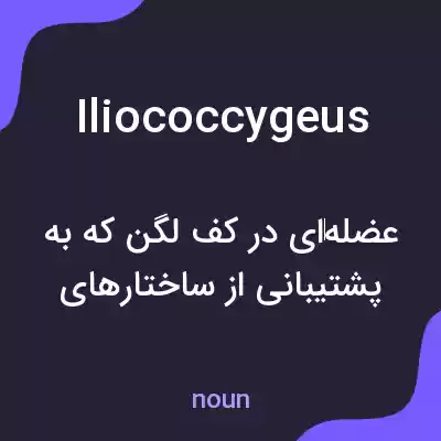 معنی iliococcygeus به فارسی معنی iliococcygeus به فارسی