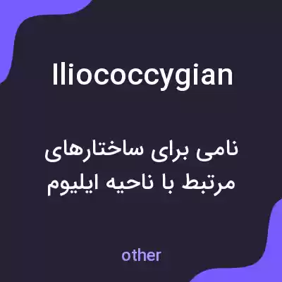 معنی iliococcygian به فارسی معنی iliococcygian به فارسی