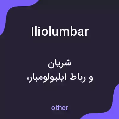 معنی iliolumbar به فارسی معنی iliolumbar به فارسی