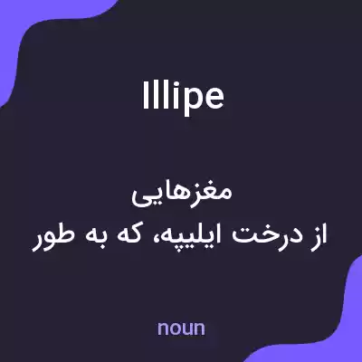 معنی illipe به فارسی معنی illipe به فارسی