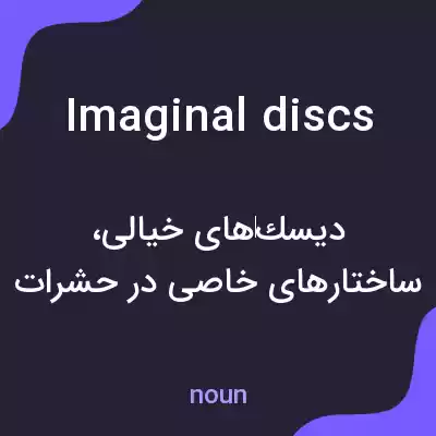 معنی imaginal discs به فارسی معنی imaginal discs به فارسی