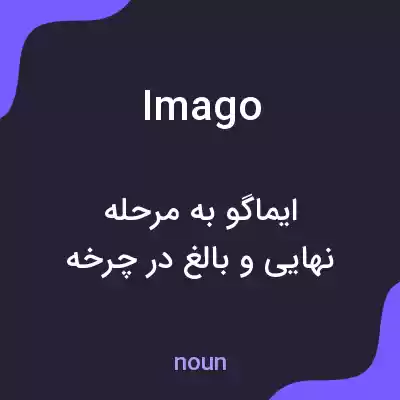 معنی imago به فارسی معنی imago به فارسی