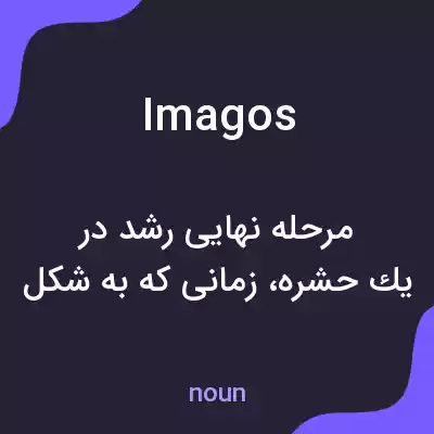 معنی imagos به فارسی معنی imagos به فارسی