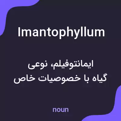 معنی imantophyllum به فارسی معنی imantophyllum به فارسی