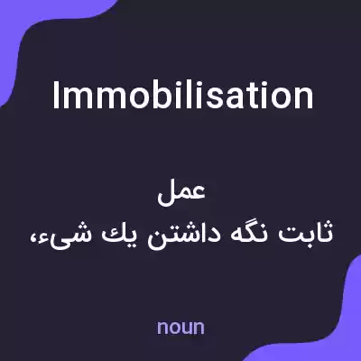 معنی immobilisation به فارسی معنی immobilisation به فارسی