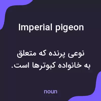 معنی imperial pigeon به فارسی معنی imperial pigeon به فارسی