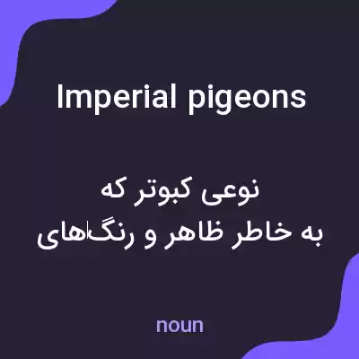معنی imperial pigeons به فارسی