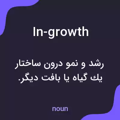 معنی in-growth به فارسی