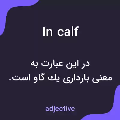 معنی in calf به فارسی معنی in calf به فارسی