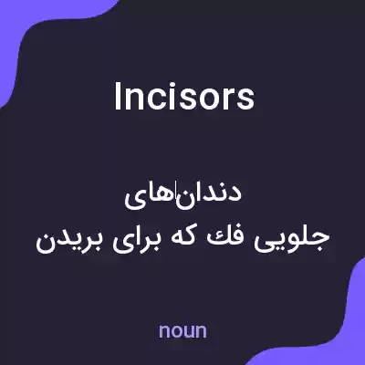 معنی incisors به فارسی معنی incisors به فارسی