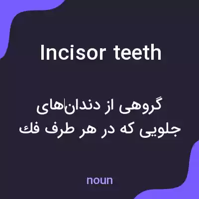 معنی incisor teeth به فارسی معنی incisor teeth به فارسی