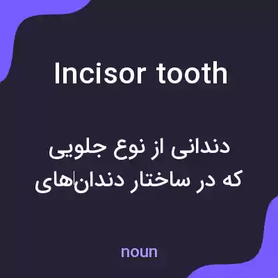 معنی incisor tooth به فارسی معنی incisor tooth به فارسی