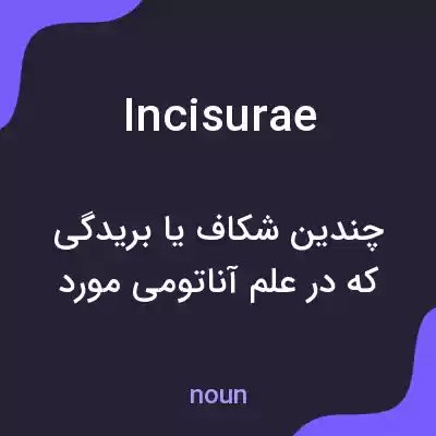 معنی incisurae به فارسی معنی incisurae به فارسی