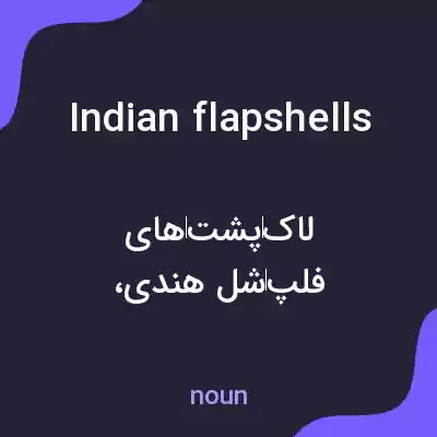 معنی indian flapshells به فارسی معنی indian flapshells به فارسی