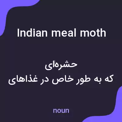 معنی indian meal moth به فارسی معنی indian meal moth به فارسی