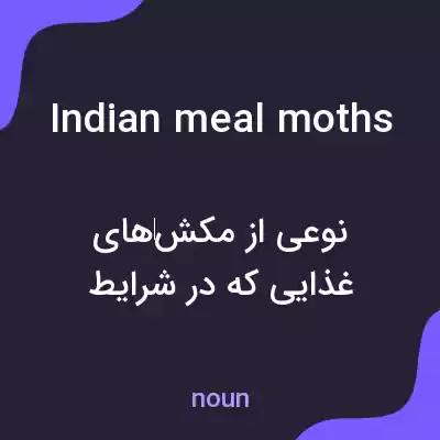 معنی indian meal moths به فارسی معنی indian meal moths به فارسی