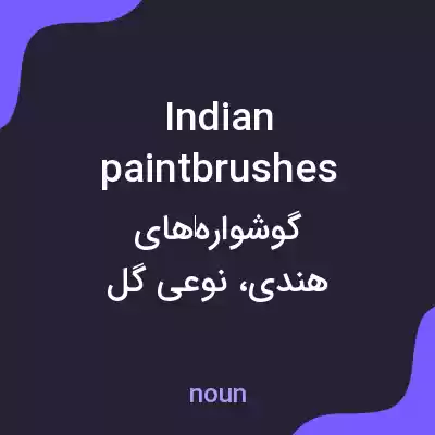 معنی indian paintbrushes به فارسی معنی indian paintbrushes به فارسی