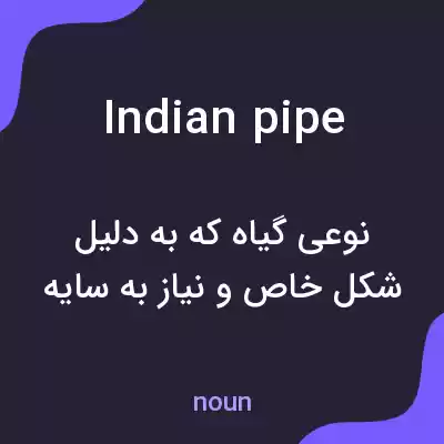 معنی indian pipe به فارسی معنی indian pipe به فارسی