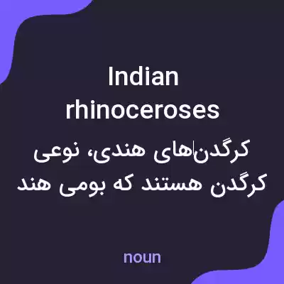 معنی indian rhinoceroses به فارسی