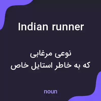 معنی indian runner به فارسی معنی indian runner به فارسی