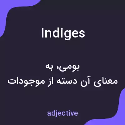 معنی indiges به فارسی معنی indiges به فارسی