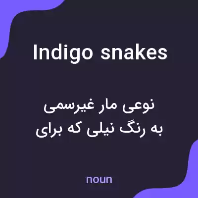 معنی indigo snakes به فارسی معنی indigo snakes به فارسی