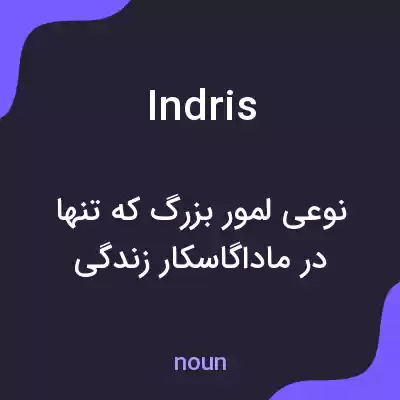 معنی indris به فارسی معنی indris به فارسی