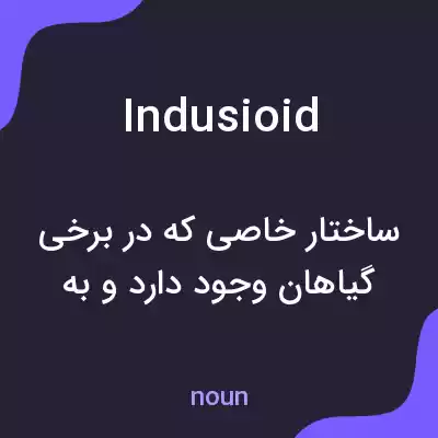 معنی indusioid به فارسی معنی indusioid به فارسی