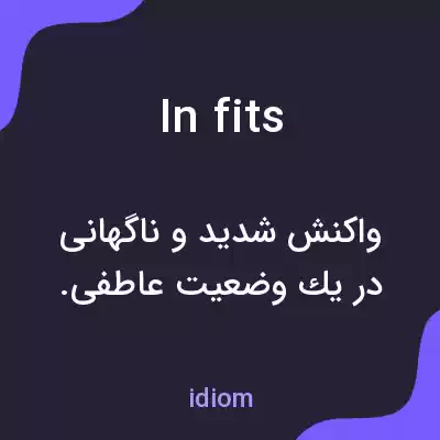 معنی in fits به فارسی معنی in fits به فارسی