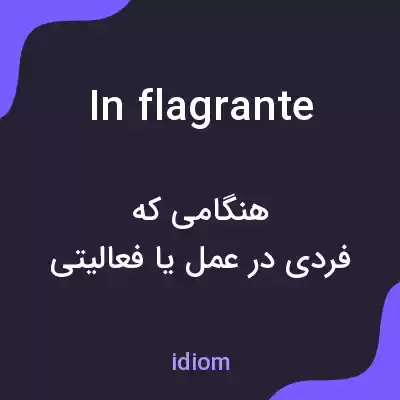 معنی in flagrante به فارسی معنی in flagrante به فارسی