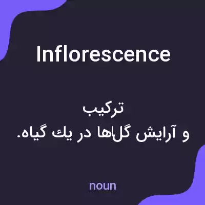 معنی inflorescence به فارسی معنی inflorescence به فارسی