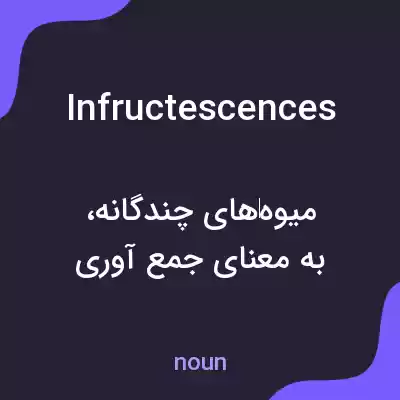 معنی infructescences به فارسی معنی infructescences به فارسی