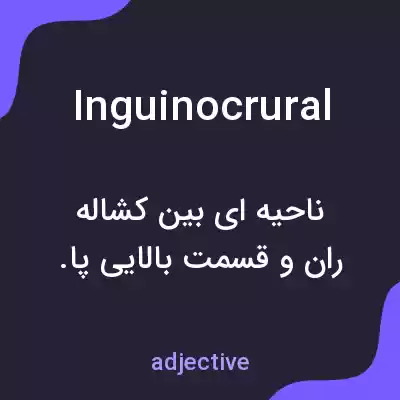 معنی inguinocrural به فارسی معنی inguinocrural به فارسی