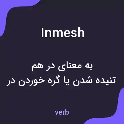 معنی in mesh به فارسی معنی in mesh به فارسی
