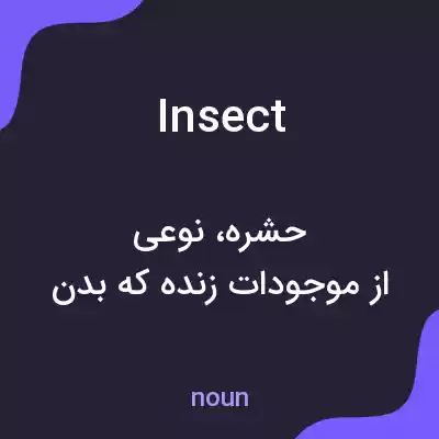 معنی insect به فارسی معنی insect به فارسی