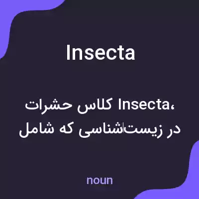 معنی insecta به فارسی معنی insecta به فارسی