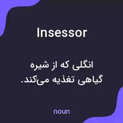 معنی insessor به فارسی معنی insessor به فارسی