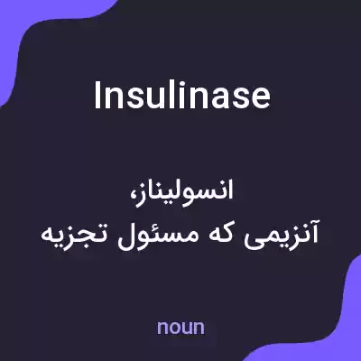 معنی insulinase به فارسی معنی insulinase به فارسی